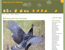 Tablet Screenshot of jocosarblog.org